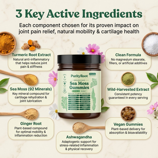 PurityRoot™ Sea Moss 16-In-1 Gummies